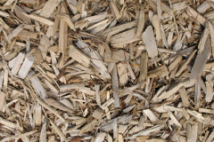 biomass boilers Bryn Tanat